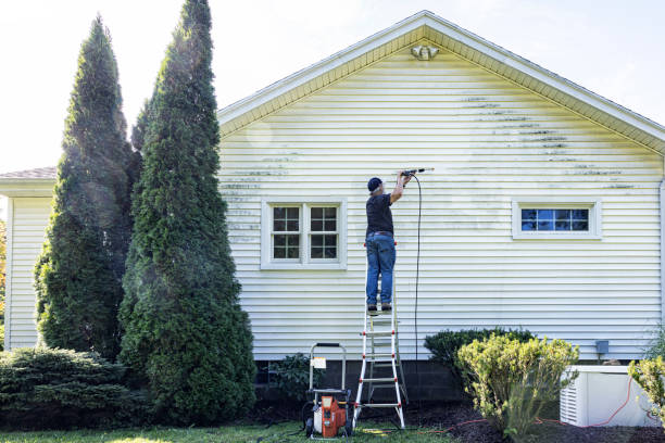 Best Building Exterior Washing  in Springville, NY