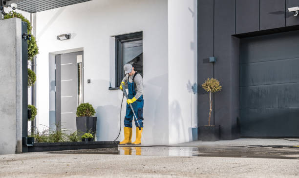 Best Roof Washing  in Springville, NY